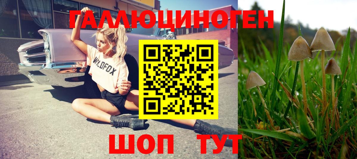 Псилоцибиновые грибы Cubensis Тихорецк