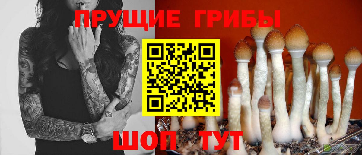 Галлюциногенные грибы Cubensis  Вход с VPN  Тихорецк 
